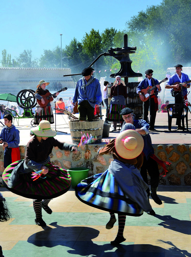 Fiesta Vendimia 2009